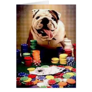 English Bulldog Card