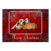 English Bulldog Christmas card (Front Horizontal)