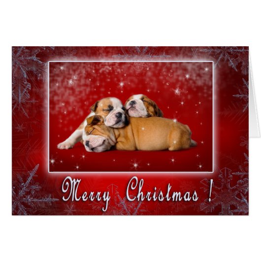 English Bulldog Christmas card (Front Horizontal)