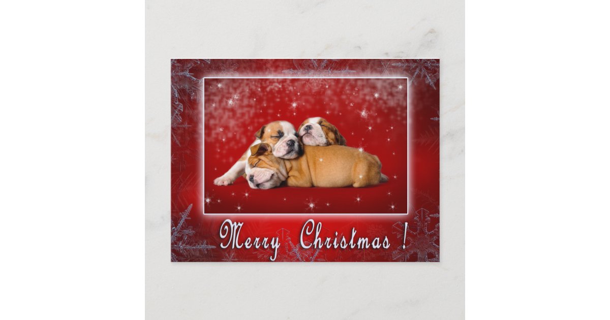 English Bulldog Christmas card | Zazzle.com