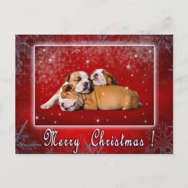 English Bulldog Christmas card (Front)