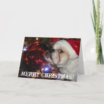 English Bulldog Christmas Holiday Card