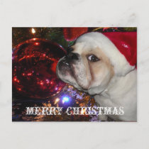 English Bulldog Christmas Holiday Postcard