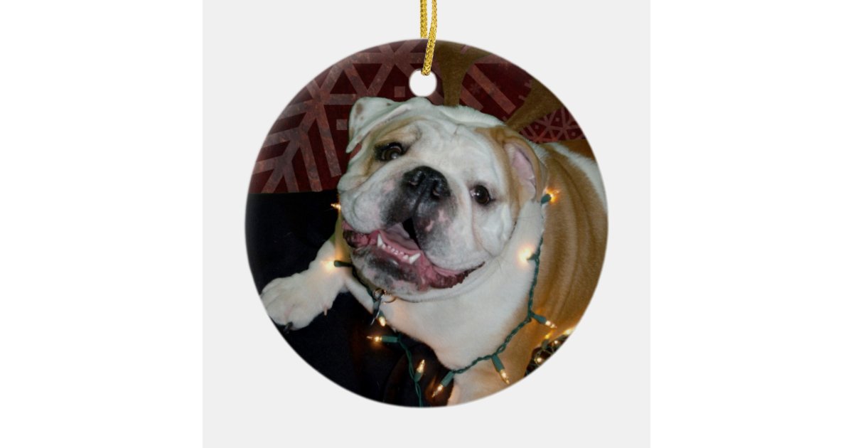 english bulldog christmas ornament zazzle com english bulldog christmas ornament zazzle com