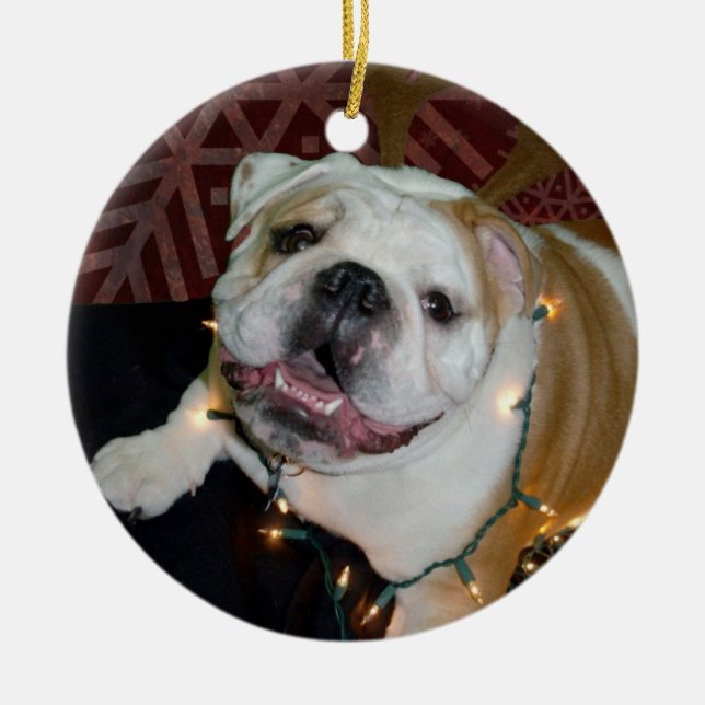 English Bulldog Christmas ornament (Front)