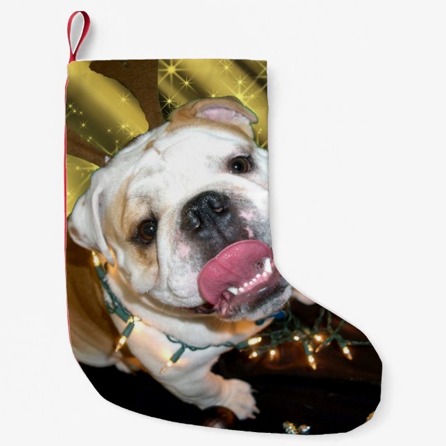 English bulldog Christmas stocking (Front)