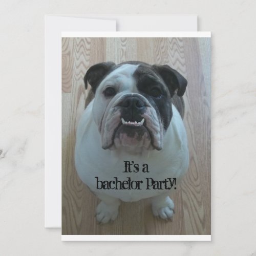 English Bulldog Cool Bachelor Party Invitations