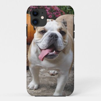 English Bulldog Cute Funny Iphone 5 Covers Cases by dogbreedgiftshop at Zazzle