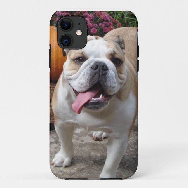 English Bulldog Cute Funny iPhone 5 covers cases (Back)