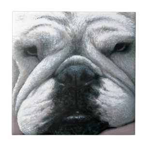 English Bulldog Dog 118 Ceramic Tile