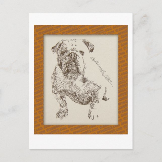 English Bulldog dog art drawn from words Postcard (Front)
