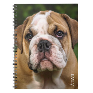 English Bulldog Dog Personalized Notebook