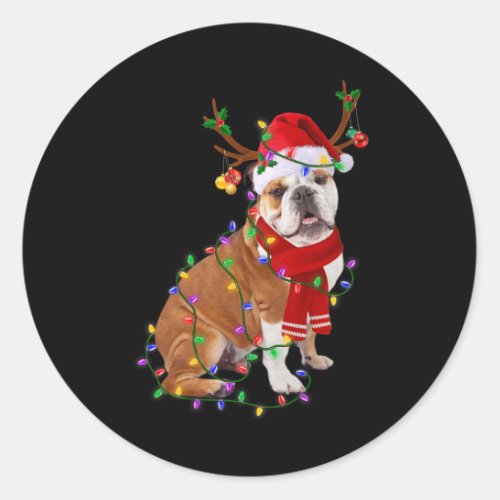 English Bulldog Dog Tree Christmas Lights Xmas Paj Classic Round Sticker