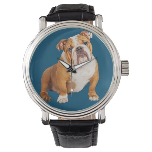 English Bulldog Dog Watch