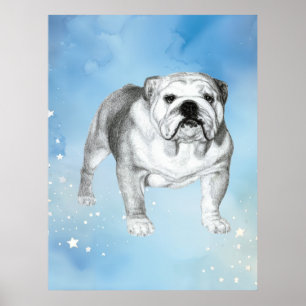 English Bulldog drawing Poster