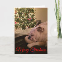 English Bulldog Dreaming Christmas Card