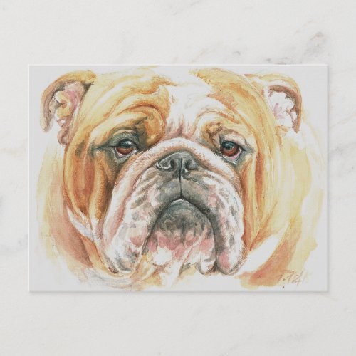 English Bulldog Face Watercolor painting Postcard