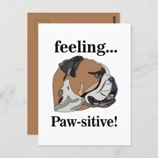 English Bulldog Feeling Pawsitive Pet Face