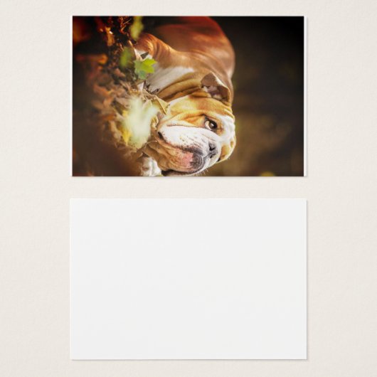 English Bulldog Forest Photo (Front & Back)