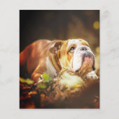 English Bulldog Forest Photo (Front)