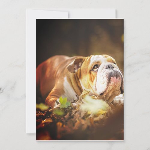 English Bulldog Forest Photo Holiday Card