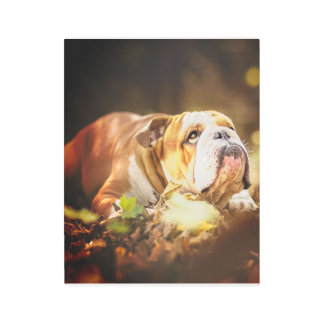 English Bulldog Forest Photo Metal Print