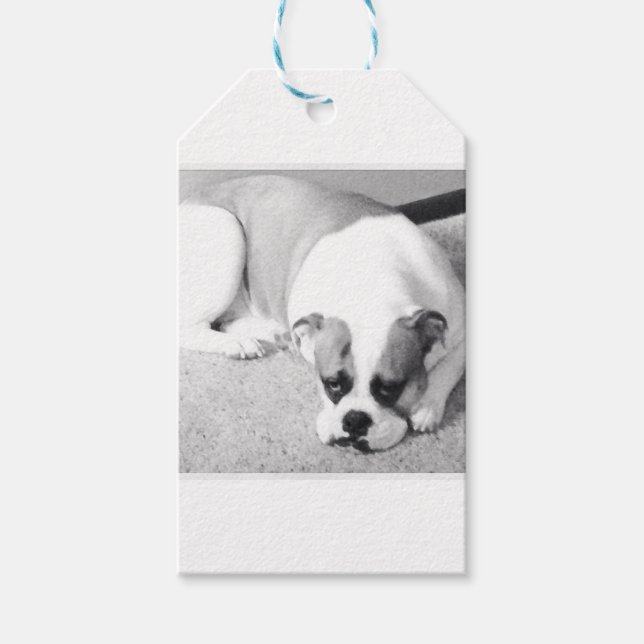 English Bulldog Gift Tag (Front)