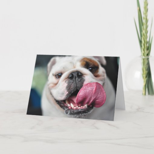 English Bulldog greeting card | Zazzle