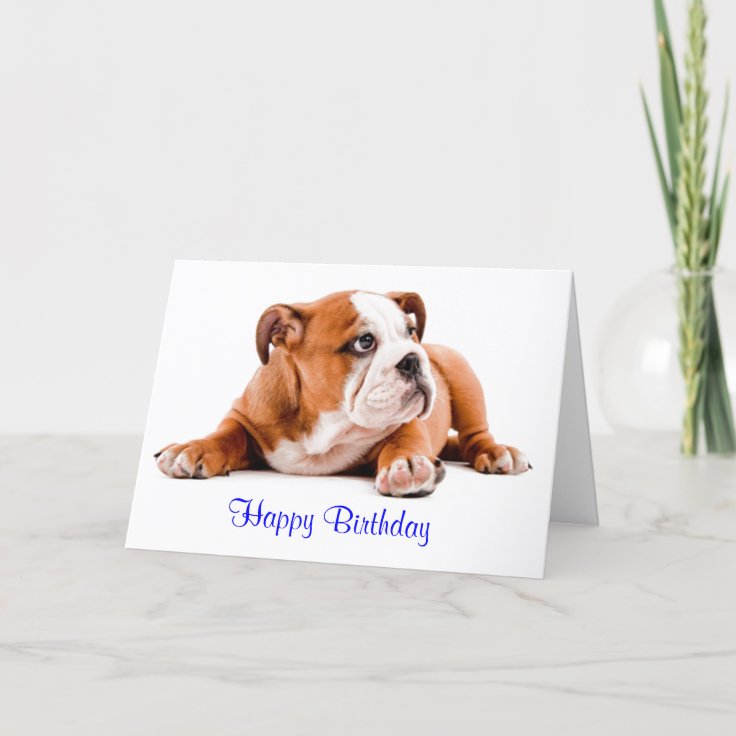 English Bulldog Happy Birthday Card - Verse inside | Zazzle