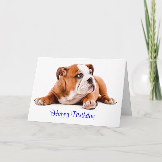English Bulldog Happy Birthday Card - Verse inside (Front)