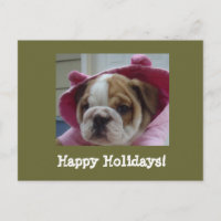 English Bulldog Happy Holidays Postcards