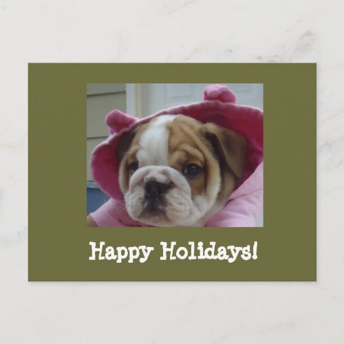 English Bulldog Happy Holidays Postcards