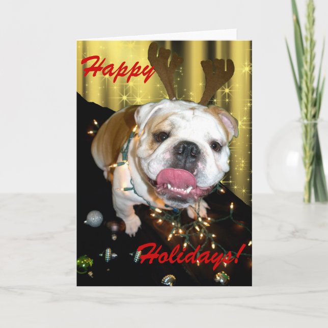English bulldog holiday greeting card (Front)