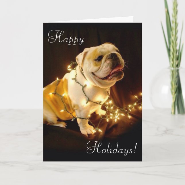 English bulldog holiday greeting card (Front)