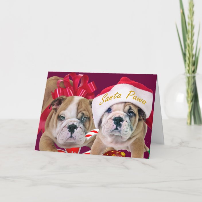 english bulldog christmas pillow