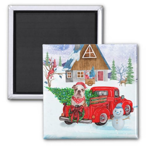 English Bulldog In Christmas Delivery Truck Snow Magnet