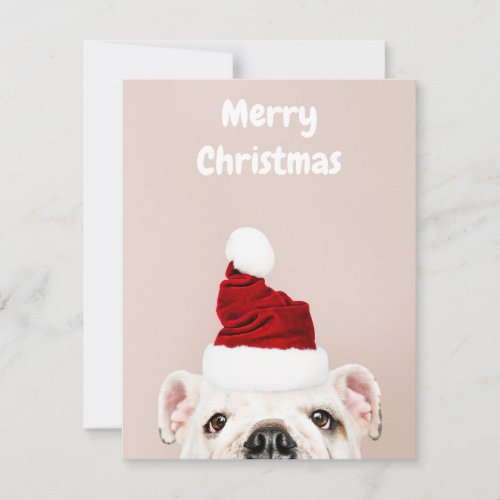 English Bulldog in Santa Hat Holiday Card