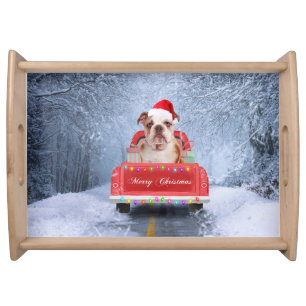 English Bulldog in Snow sitting in Christmas Truck Serving Tray