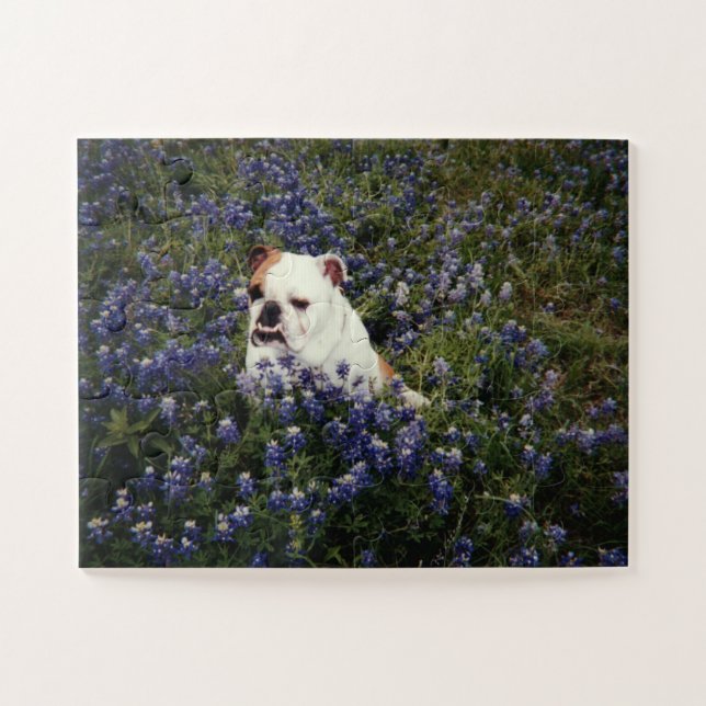 English Bulldog in Texas Bluebonnets Puzzle (Horizontal)