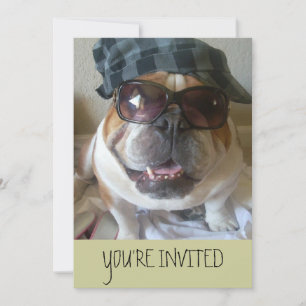 English Bulldog Invitations Birthday/Any