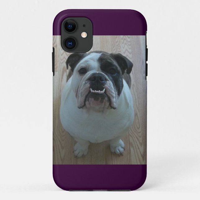 English bulldog iPhone 5 case holder (Back)