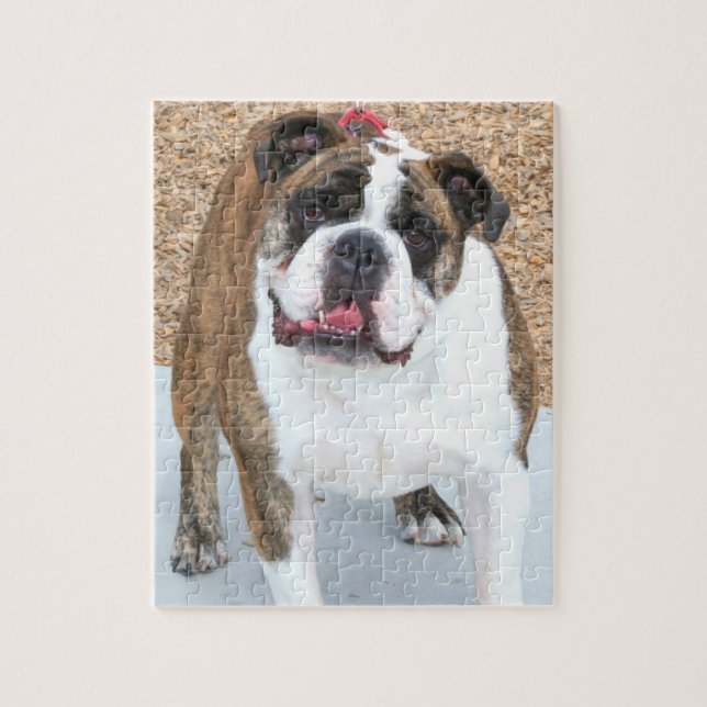 English bulldog jigsaw puzzle (Vertical)