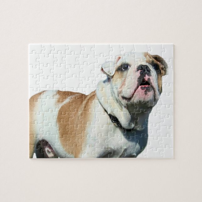 English bulldog jigsaw puzzle (Horizontal)