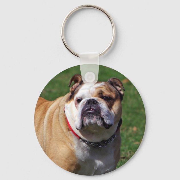 English on sale bulldog keyring