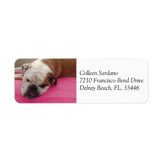 English Bulldog Label (Front)