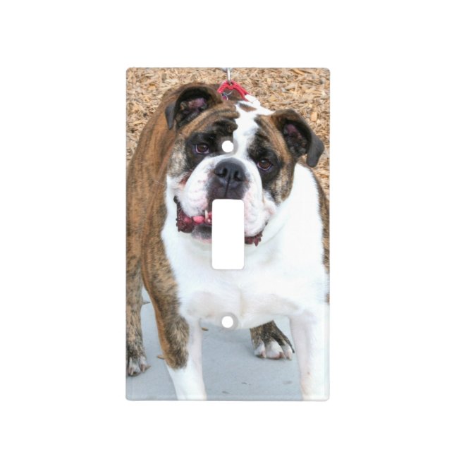 English Bulldog Light Switch Cover (Front)