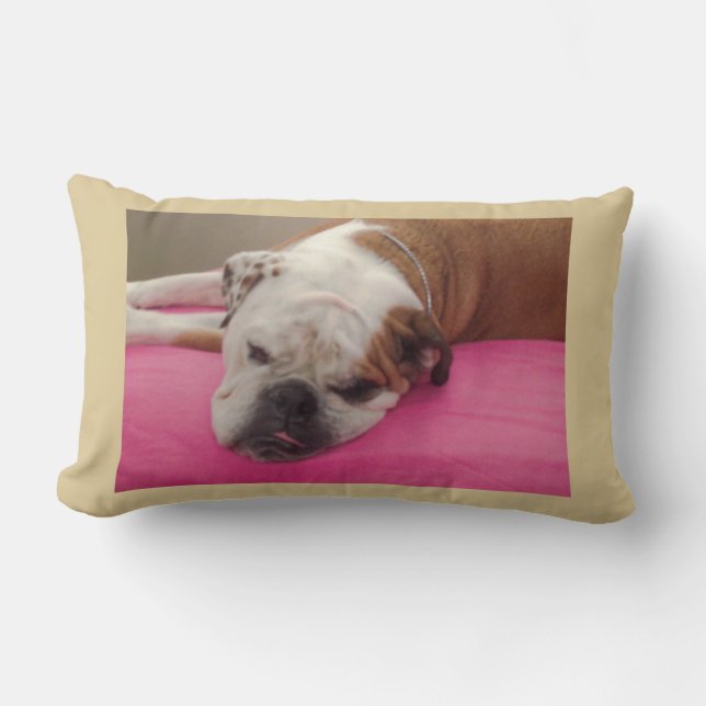 English Bulldog Lumbar Pillow (Front)