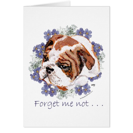 English Bulldog Memories Cards (Front)