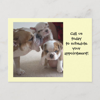 English Bulldog Mom &Pups postcards shot reminder