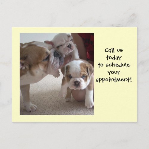 English Bulldog Mom Pups postcards shot reminder